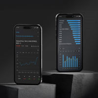 BigFinance